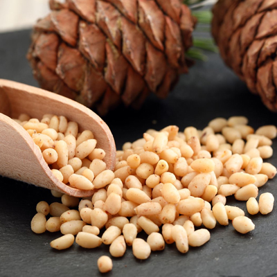 Suppliers of pine nuts